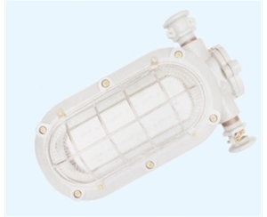 枣庄矿用隔爆型LED支架灯